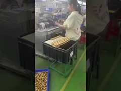 παρασκευαστής παιχνιδιών τέχνης